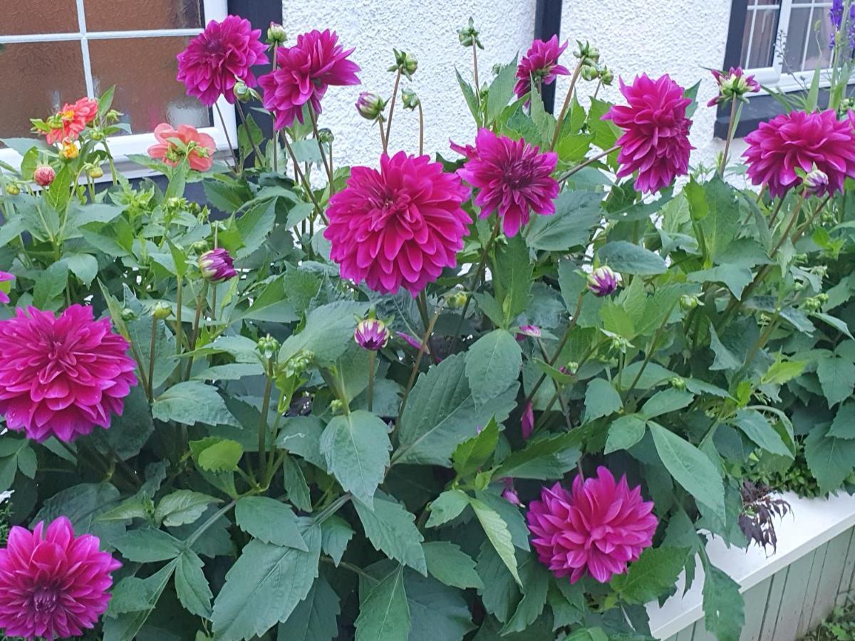 Villa The Little Garden Hoose Inverness Esterno foto